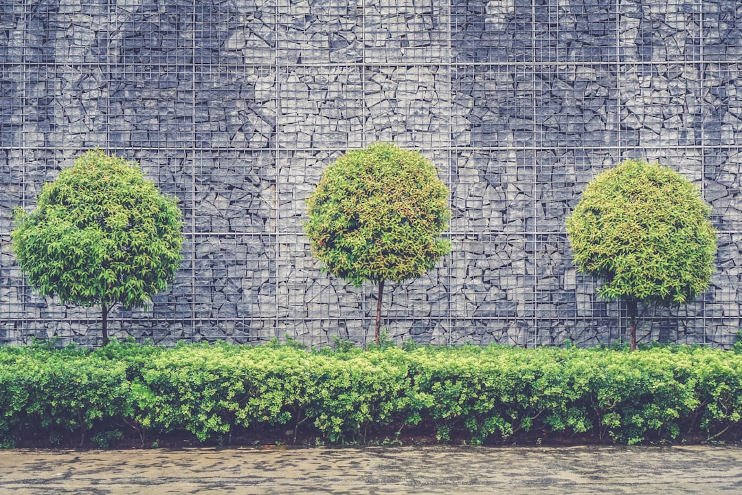 Beautiful garden landscape