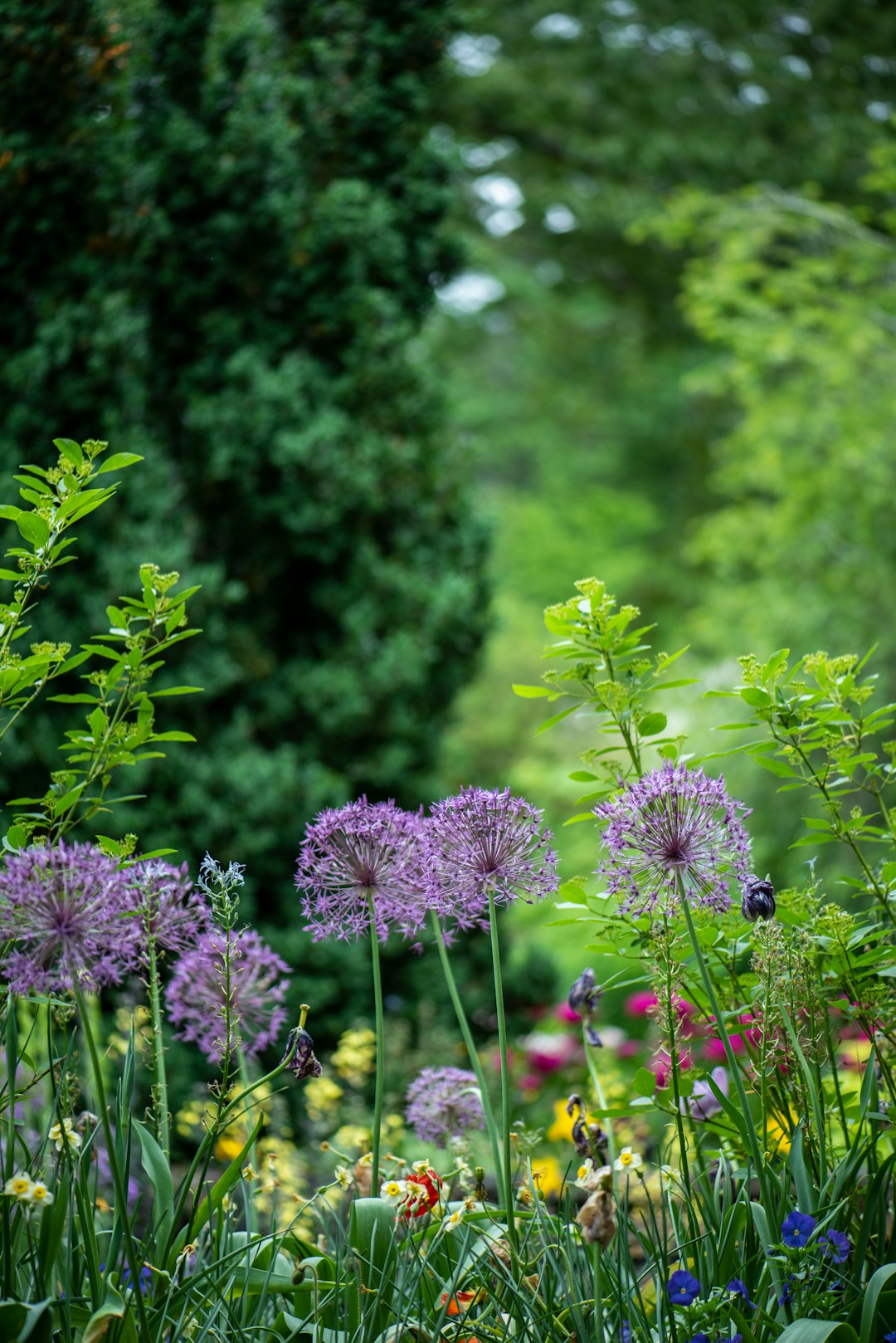 Royal Horticultural Society