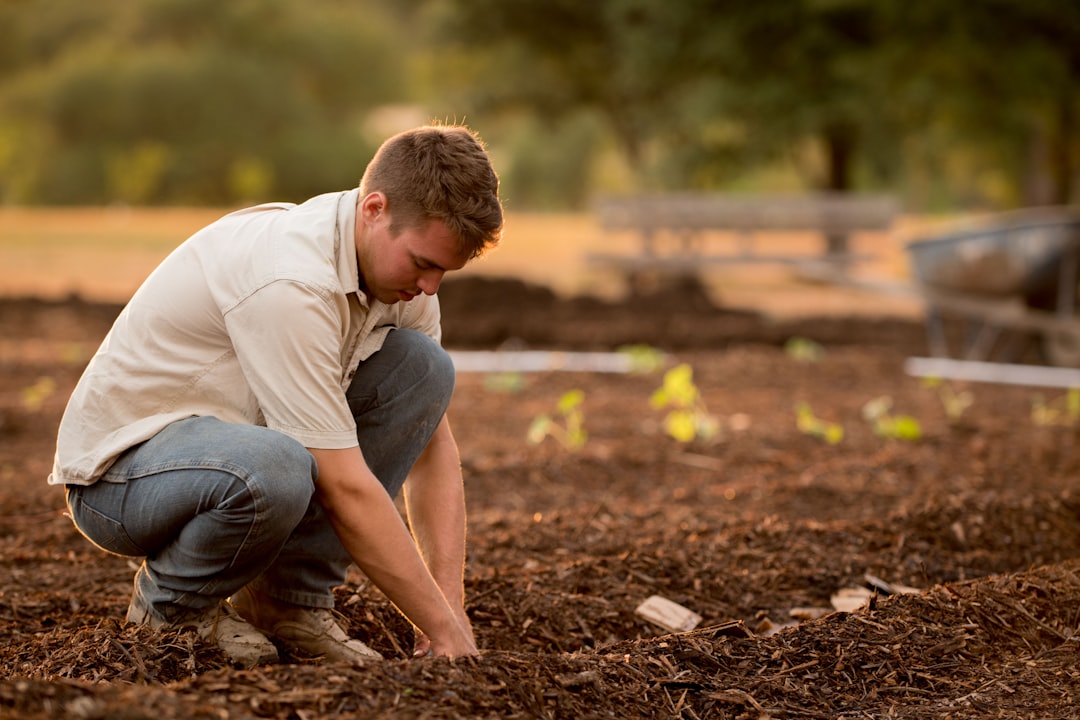 Dutch Garden Experts